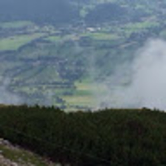 Meet your Posher, Sofia - Picture 1 of 1